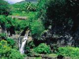 Polynesian Adventure Tours Hana Tour